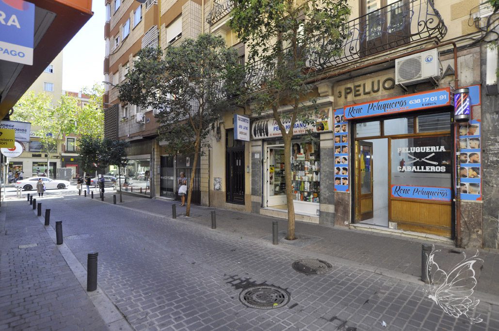 PA51_ (31) copia